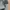 Streetwear Casual Denim jacket Pria green gray photo 5