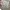 Lee Streetwear Casual Casual pants Pria green photo 6