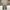 Lee Streetwear Casual Casual pants Pria green photo 3
