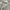 Tommy Hilfiger Streetwear Casual Casual pants Pria khaki photo 8