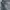 Streetwear Biker Denim jacket Pria navy gray photo 2