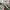 VANS Indie Casual Sneakers Pria multicolor photo 2