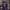 Sportswear Casual Jersey Pria purple yellow photo 1