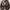 Nike Streetwear Sportswear Sneakers Pria black photo 4