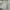 Fear of God Luxury T-shirt Pria green gray photo 1