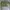 Casual Cardigan Wanita green photo 1