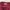 Minimalist Casual Cardigan Wanita burgundy photo 3