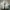 Nike Streetwear Sportswear Sneakers Pria white photo 6