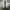 Nike Streetwear Sportswear Sneakers Pria white photo 5