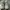 Nike Streetwear Sportswear Sneakers Pria white photo 3