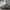 Nike Streetwear Sportswear Sneakers Pria white photo 1
