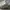 Nike Streetwear Sportswear Sneakers Pria White