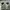 Nike Streetwear Sportswear Sneakers Pria white photo 4