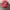 BASSO Streetwear Hat Pria pink photo 1