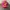 BASSO Streetwear Hat Pria Pink