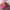 BASSO Streetwear Hat Pria pink photo 3