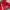 Kensho Abe Vintage Bomber jacket Pria red photo 5