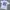 Gildan Vintage T-shirt Pria white photo 1