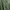Abercrombie & Fitch Casual Blouse Wanita green photo 4