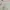 Japanese brand Vintage Luxury Evening dress Wanita cream photo 2