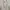 Japanese brand Vintage Luxury Evening dress Wanita cream photo 3