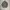 The North Face Sportswear Puffer jacket Pria gray photo 2