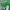 Levi's Vintage Y2K T-shirt Pria green photo 5
