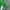 Levi's Vintage Y2K T-shirt Pria green photo 4