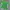 Levi's Vintage Y2K T-shirt Pria Green