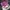 Luxury Minimalist Shoulder bag Wanita purple photo 2
