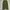 Vintage Streetwear Jeans Pria green photo 3