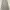 Coquette Casual Skirt Wanita tan cream photo 1