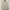 Forever 21 Streetwear Y2K Hoody Pria gray cream photo 1