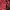 Balenciaga Luxury Shoulder bag Wanita red photo 5
