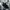 Nike Streetwear Sportswear Pria black photo 2