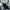 Nike Streetwear Sportswear Pria Black