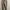 H&M Casual Skinny jeans Wanita tan photo 1
