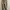 H&M Casual Skinny Jeans Wanita Tan