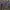 Casual Crop top Wanita purple photo 1