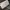 Adidas Casual Sneakers Pria black photo 6