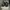 Adidas Casual Sneakers Pria black photo 4