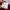 COMME des GARÇONS Coquette Sweater Wanita burgundy red photo 4