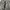8seconds Streetwear Casual Casual pants Pria gray photo 6