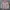 Streetwear Sportswear Leather jacket Pria white pink photo 1