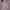 Streetwear Sportswear Leather jacket Pria white pink photo 2