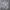 Streetwear Sportswear Bomber jacket Pria white photo 1