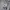Streetwear Sportswear Bomber jacket Pria white photo 3