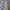 Streetwear Sportswear Bomber jacket Pria white photo 7
