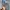 Levi's Vintage Reworked Jeans Pria blue photo 5