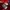 Adidas Streetwear Sportswear Tracksuit Pria red photo 3